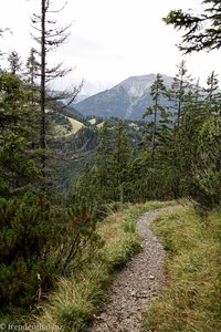 Wanderweg auf den Thaneller