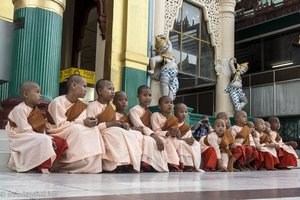 kleine Mönchen in der Shwedagon-Pagode