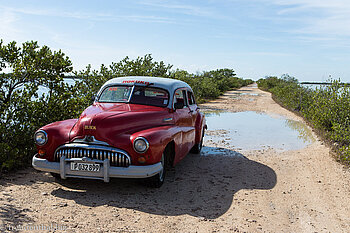Buick in der Laguna de las Salinas