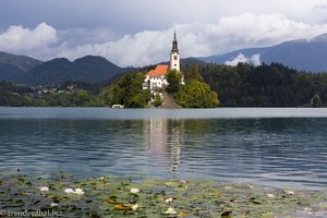 Wieder auf der Seepromenade des Blejsko jezero