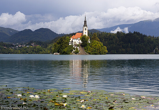 Aussicht auf die Kirche auf der Insel im Bleder See in Slowenien