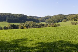 Grüne Landschaft beim Boßler