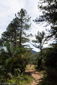 auf dem Sendero de Caburni