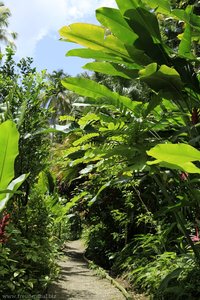 Diamond Botanical Garden auf St. Lucia