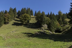 Abstieg vom Immenstädter Horn über die Alpe Kessel