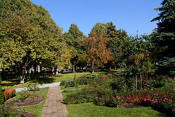 im (verblühten) Rosengarten
