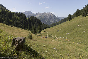 Aussicht von der Zipfelsalpe