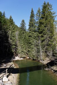 Teich der Rigiaa oberhalb Klösterli