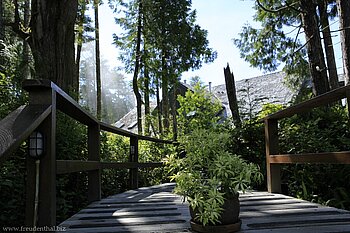 Holzweg zur Lodge - Middle Beach Lodge Tofino