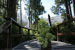 Holzweg zur Lodge - Middle Beach Lodge Tofino