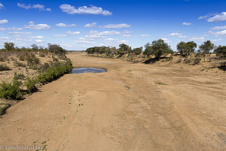 ausgetrockneter Shingwedzi-Fluss im Krüger Nationalpark ausgetrockneter Shingwedzi-Fluss im Krüger Nationalpark