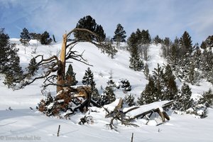 Winterlandschaft in Utah