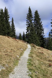 schöner Wanderweg um den Saxnerkamm