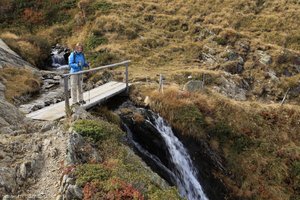 Bücke auf dem Weg zum Schlotterjoch