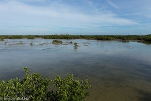 Ein Blick über die Laguna de las Salinas