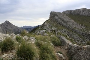 Die erste Anhöhe der Wanderung ist geschafft.