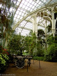 Es gibt verschiedene Klimazonen im Palmenhaus