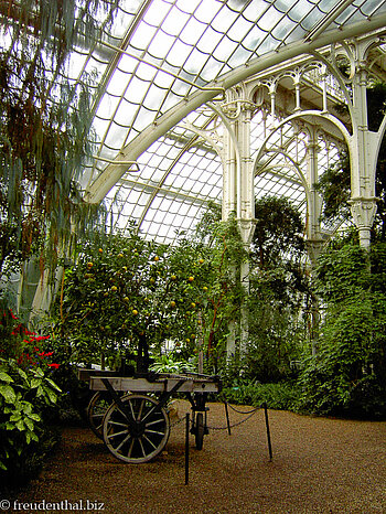 Es gibt verschiedene Klimazonen im Palmenhaus