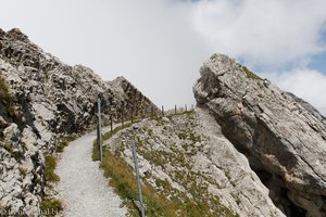 Botanischer Blumenpfad auf dem Pilatus