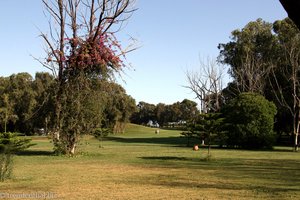 Golfplatz beim Sofitel in Marokko
