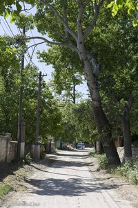 die Straße durch Butuceni bei Orheiul Vechi in Moldawien