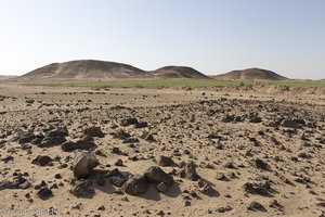 grüne Felder mitten in der Wüste der Al Najd Agriculture Development-Farmen des Oman