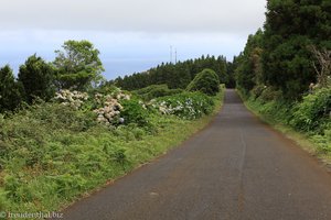 Abstieg zum Leuchtturm von Ribeirinha