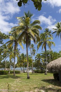 Strand von Palomino in Kolumbien