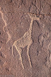 Griaffen-Zeichnung bei Twyfelfontein