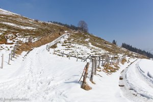Winterwanderung auf den Morgartenberg