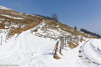 Winterwanderung auf den Morgartenberg