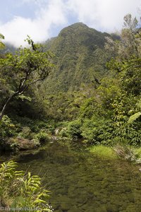 Ein Idyll beim Bassin vom Bras Cabot