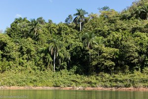 beim Embalse Hanabanilla