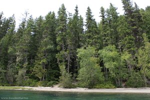 Divers Bluff Campground am Clearwater Lake
