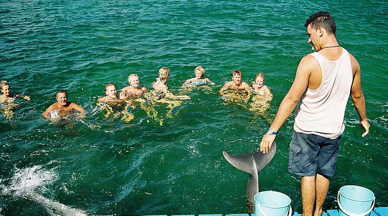 Die Delfine gehorchen...
