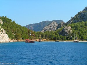 Wir schwimmen bis zum Strand von Ceneviz