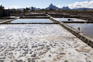 Salinen Yemen von Tamarin | Salzgewinnung auf Mauritius