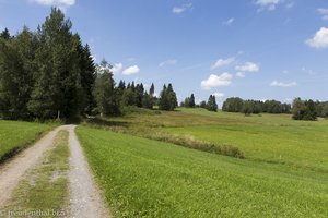 Weg über das Ratzenberger Moos