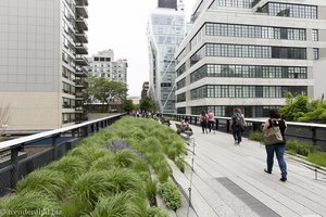 mit Gräsern bepflanzter High Line Park in Chelsea
