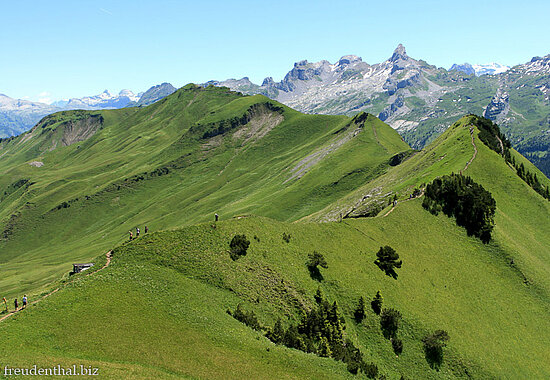 Gratwanderung vom Klingenstock zum Fronalpstock