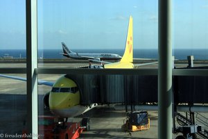 viele deutsche Flieger