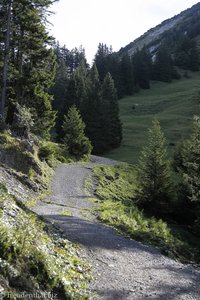 Sonniger Wanderweg auf den Leistchamm