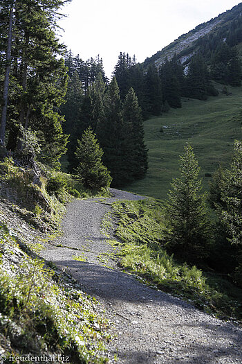 Sonniger Wanderweg auf den Leistchamm