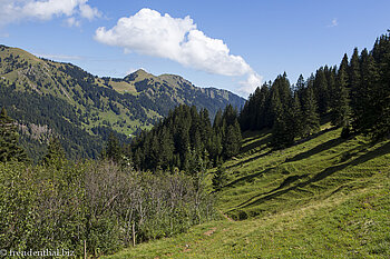 Hinauf auf den Siplinger Kopf