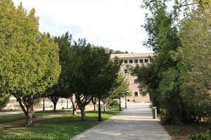 Allee innerhalb der Klosteranlage Lluc