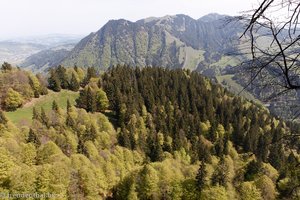 Ausblick vom Spicher Richtung Spitzli und Kronberg