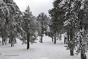 Schnee auf dem Olympos