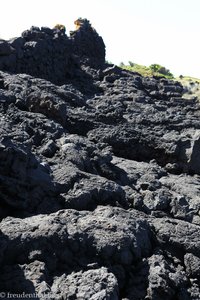 hier führt die Küstenwanderweg quer durchs Lavafeld