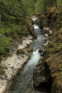 Schlucht zwischen den Little Qualicum Falls