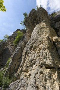 Die Kleine Scheuer auf den Rosenstein